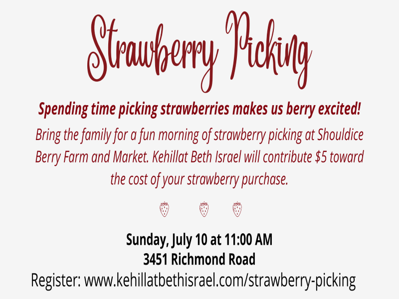 Strawberry Picking with KBI