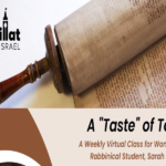 A Taste of Torah - High Holy Day Edition