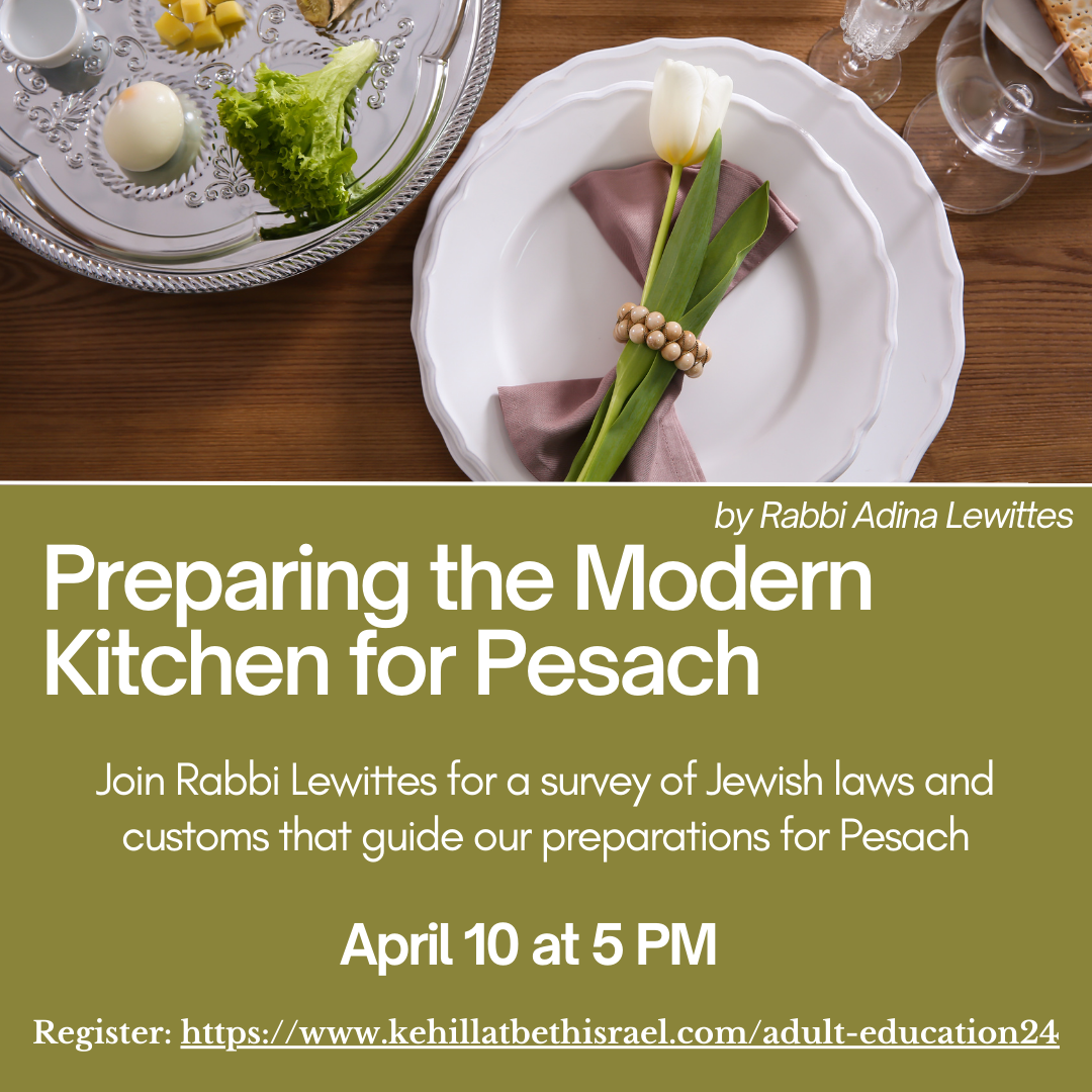 Preparing the Modern Kitchen for Pesach by Rabbi Adina Lewittes